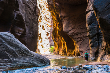 beautiful of narrow in the afternoon  in Zion National park,Utah,usa.