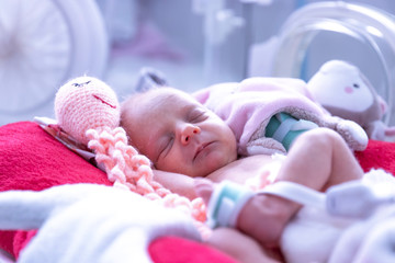 Newborn  in incubator ICU