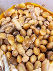 Sea sticks for cooking exotic food