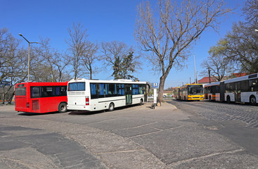 Plakat Buses standing at the terminal