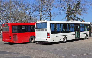 Fototapeta premium Buses standing at the terminal