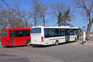 Buses standing at the terminal