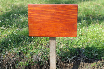 Blank wooden board in the park
