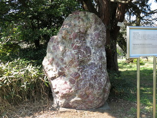 小石川植物園にある甘藷試作跡の記念碑