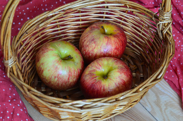 Autumn harvest in the harvest season. Apples in a straw basket