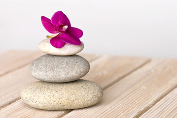 Pink Orchid And Pebble Zen Style Still