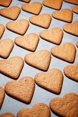 Ginger cookies view