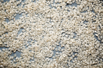 Raw rice close up