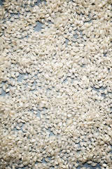 Raw rice close up