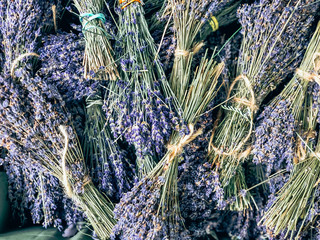 Dry Lavender bunches selling outdoor