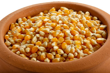corn seeds in the plate