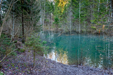 Spring Siniallikas - one of the forest spring of the river Pirita. Estonia