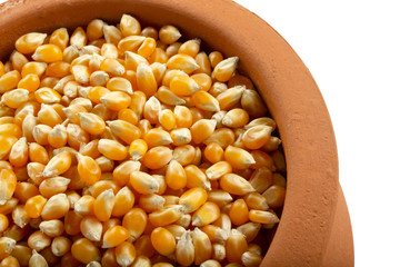 corn seeds in the plate