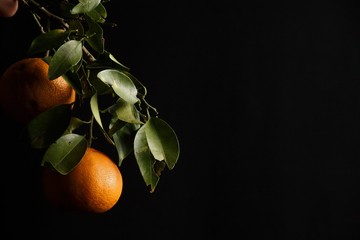 Beautiful black background orange fruite