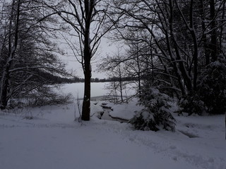 Winter landscape with snowy trees - Oslo, lake Sognsvann 