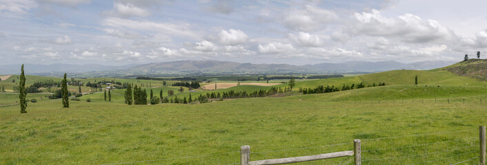 green Middle Valley countryside, near Allandale, New Zealand