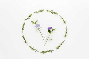 Minimal style photography. Green branch circle and flowers natural creative composition top view background with copy space for your text. Flat lay.