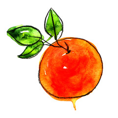 juicy bright round oranges in a section and slices with leaves