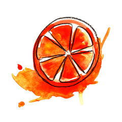 juicy bright round oranges in a section and slices with leaves