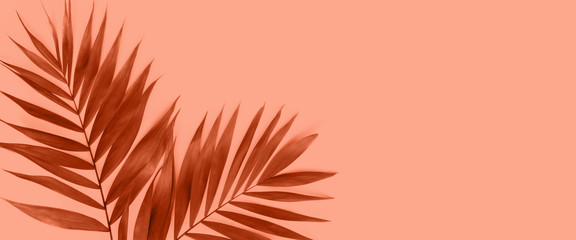 Creative flat lay top view of green tropical palm leaves on peach paper background.
