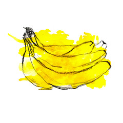 peeled yellow bright banana with pulp and slices in watercolor