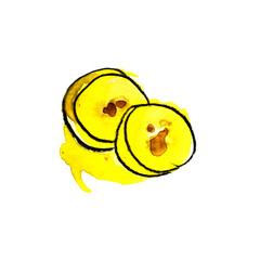 peeled yellow bright banana with pulp and slices in watercolor