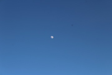 moon in the evening blue sky
