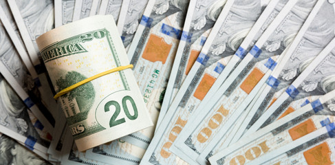 Top view of 20 rolled dollar bills on background made with one hundred dollar banknotes. Business concept