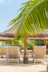 lounge chairs and umbrella on the beach