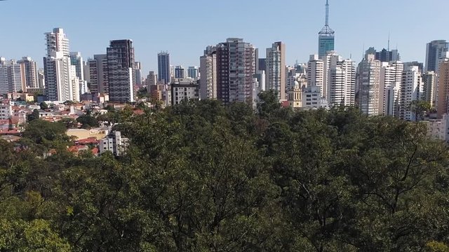 Aerial view to Ibirapuera park with the city in background, Sao Paulo, Brazil
