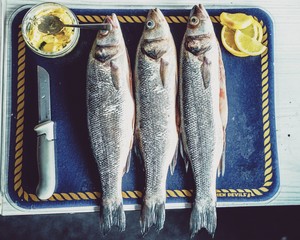 fresh fish on the market