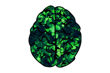 Human brain shape made of green leaves Think green concept