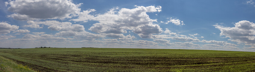 Fototapeta na wymiar Russian steppe. Orenburg region, Russia.