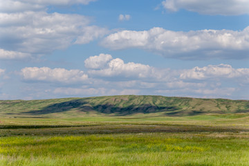 Fototapeta na wymiar Russian steppe. Orenburg region, Russia.