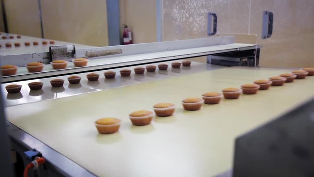 Cupcakes distributed on two conveyor belts in a food factory