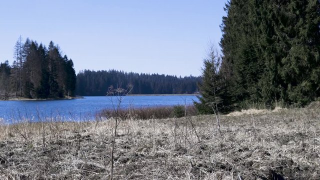 Prinzenteich in the Harz national Park in Germany