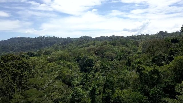 Flying Above Tropical Jungle and Zipline Cable, Drone Aerial View