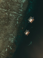 Fishermen feed gigantic whale sharks ( Rhincodon typus) from boats in the sea in the Philippines, Oslob. Aerial view from the drone.