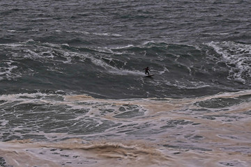 Fototapeta premium Aerial view of surfer riding big wave on the North Shore, Hawaii. Drone Photo