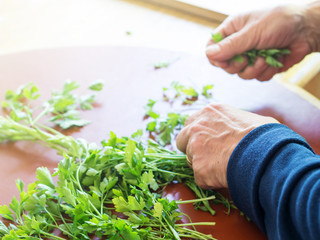 Elderly Italian woman cleaning parsley in the kitchen. Closeup of hands and counter
