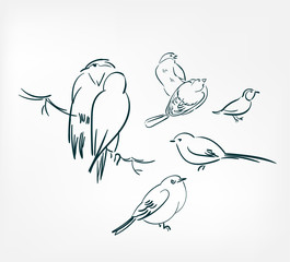 little birds set vector illustration japanese chinese ink line sketch style