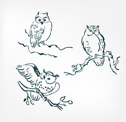 owl set vector illustration japanese chinese ink line sketch style