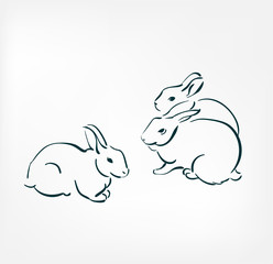 rabbit set vector illustration japanese chinese ink line sketch style