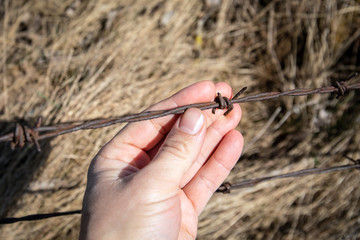 Old, rusty barbed wire and Man's hand