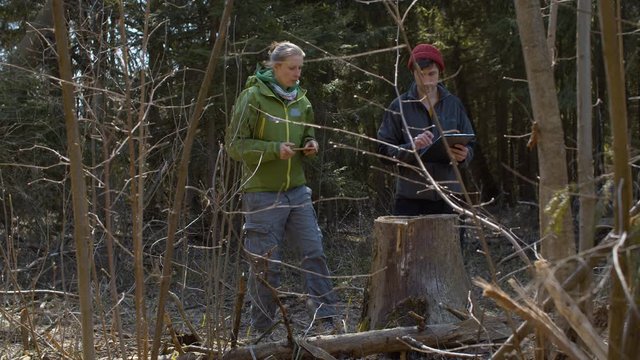 Two eco activists take pictures of illegally sawn tree in the forest and make notes on the paper. Conservationists protecting trees in the forest. Bright sunny spring day.