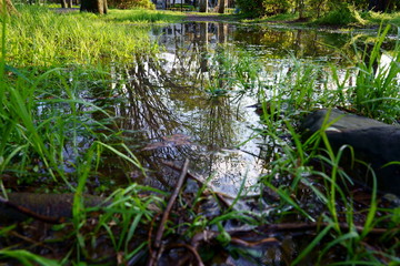 雨上がりの水たまりに映り込む風景