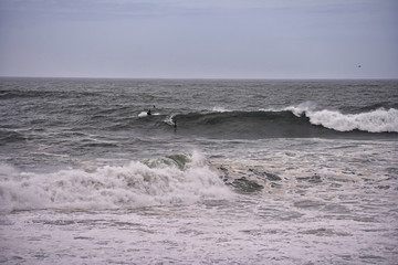 Surf in Hawaii. Big waves in Maui. Drone photo