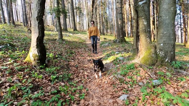 Young woman walking with small black dog in the woods footage with action camera
