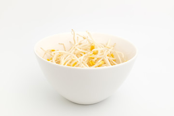Bean sprouts on white background