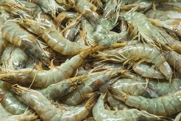 Korlevsky, tiger prawns in a box, at the fish market. Sale of fresh produce. Seafood, delicacy. Gourmet cuisine.